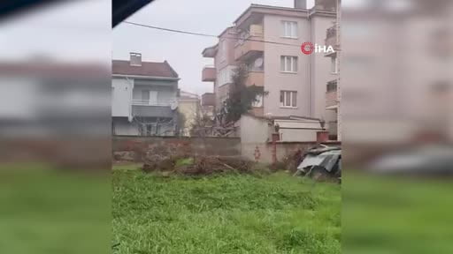 Sokak aralarında gezen tilki böyle görüntülendi