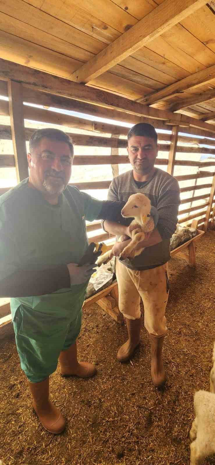 SÖKE İLÇE TARIM VE ORMAN MÜDÜRLÜĞÜ EKİPLERİ TARAFINDAN SAZLI MAHALLESİ’NDE BULUNAN KOYUNCULUK...