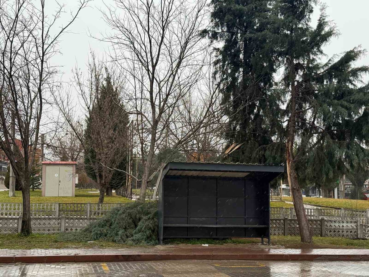 TAVŞANLI'DA ŞİDDETLİ RÜZGAR AĞAÇ DEVİRDİ