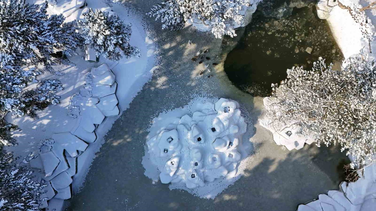 TERMOMETLERİN EKSİ 14'Ü GÖSTERDİĞİ KAYSERİ'DE YAPAY GÖLET BUZ TUTARKEN, ÜZERİNDEKİ KAZ VE ÖRDEKLER...