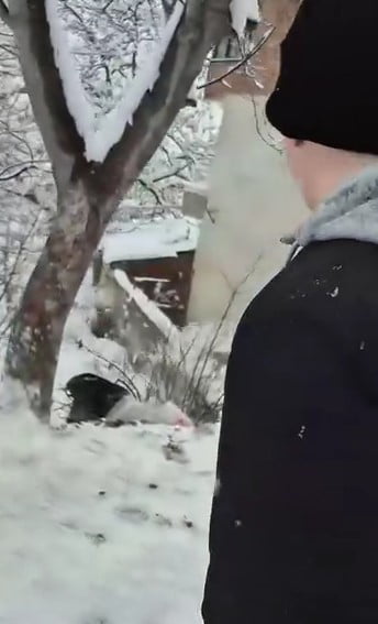 TOKAT’IN NİKSAR İLÇESİNDE KARLI VE KAYGAN YOLDA POŞETLERLE KAYAN GENÇLER, HIZLARINI ALAMAYARAK...