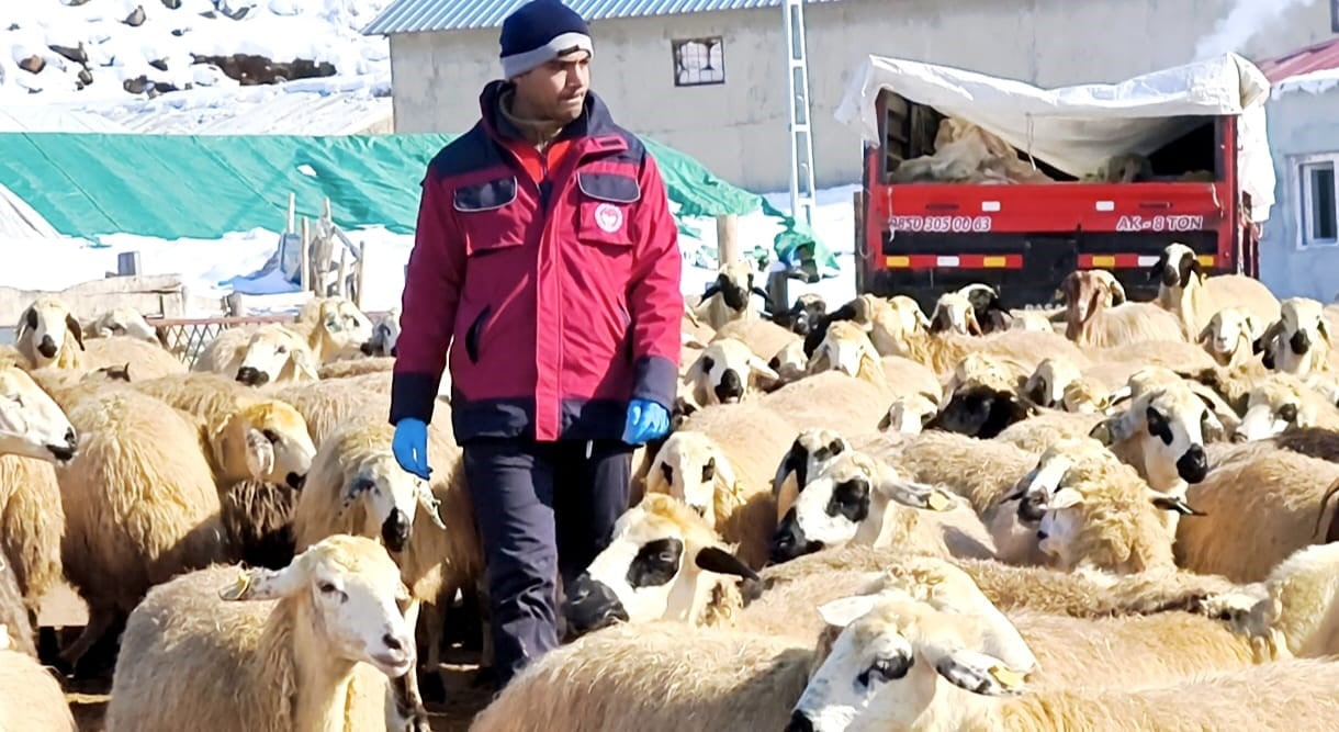 TUNCELİ'NİN ÇEMİŞGEZEK İLÇESİNDE ETKİSİNİ ARTIRAN YOĞUN KAR YAĞIŞINA RAĞMEN VETERİNER HEKİMLER...