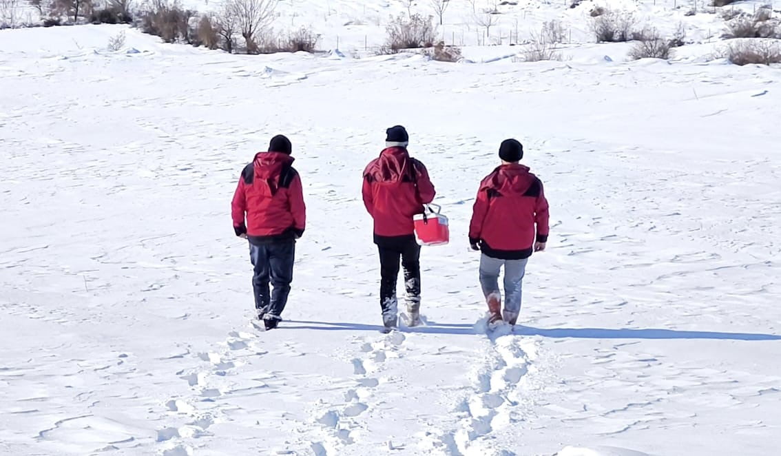 TUNCELİ'NİN ÇEMİŞGEZEK İLÇESİNDE ETKİSİNİ ARTIRAN YOĞUN KAR YAĞIŞINA RAĞMEN VETERİNER HEKİMLER...