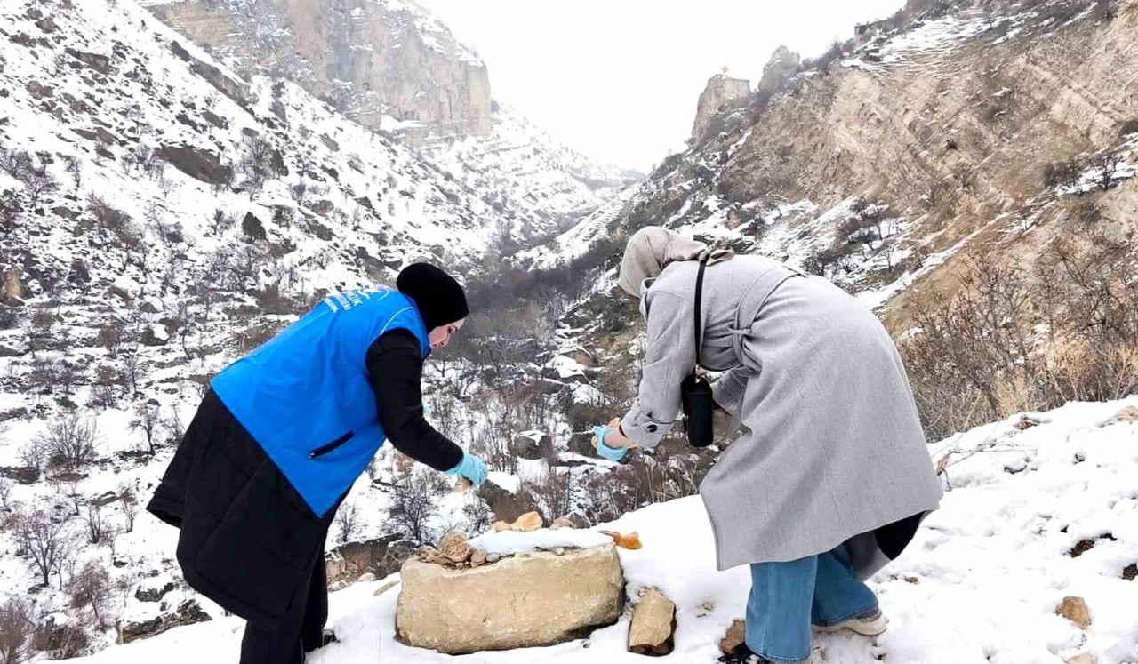 TUNCELİ'NİN ÇEMİŞGEZEK İLÇESİNDE, YOĞUN KAR YAĞIŞI NEDENİYLE YİYECEK BULMAKTA ZORLANAN YABAN...