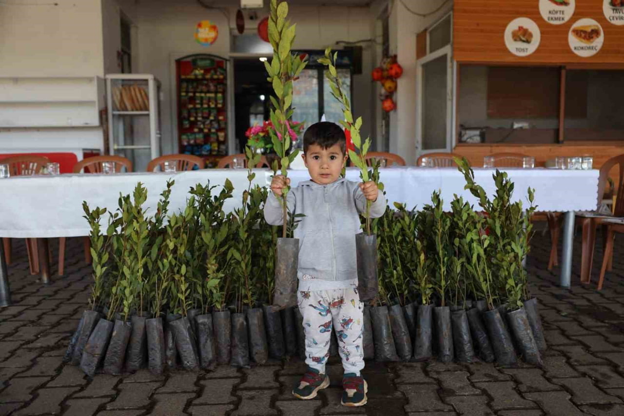 ULA’DA ÜRETİCİLERE 38 BİN DEFNE FİDANI DAĞITILDI