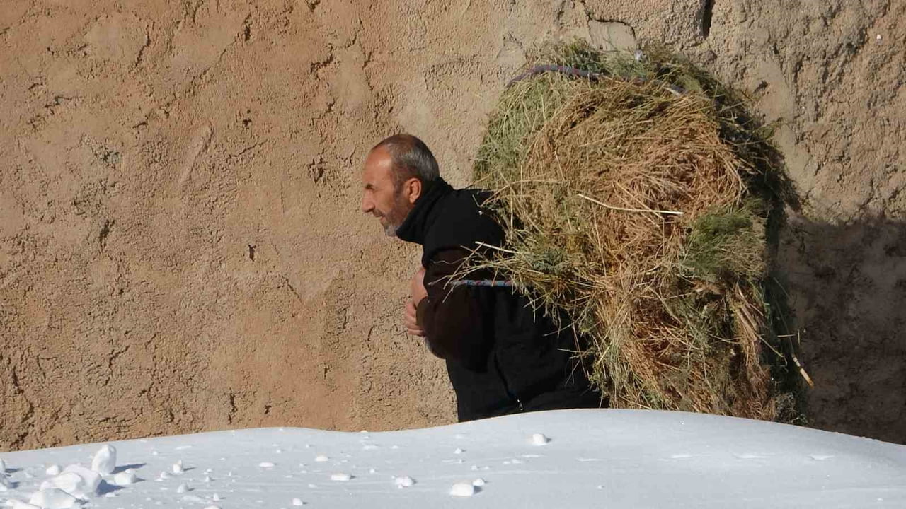 VAN'IN ÇATAK İLÇESİNDE VATANDAŞLAR, KAR YAĞIŞI VE SOĞUK HAVA NEDENİYLE MERAYA ÇIKARAMADIKLARI...
