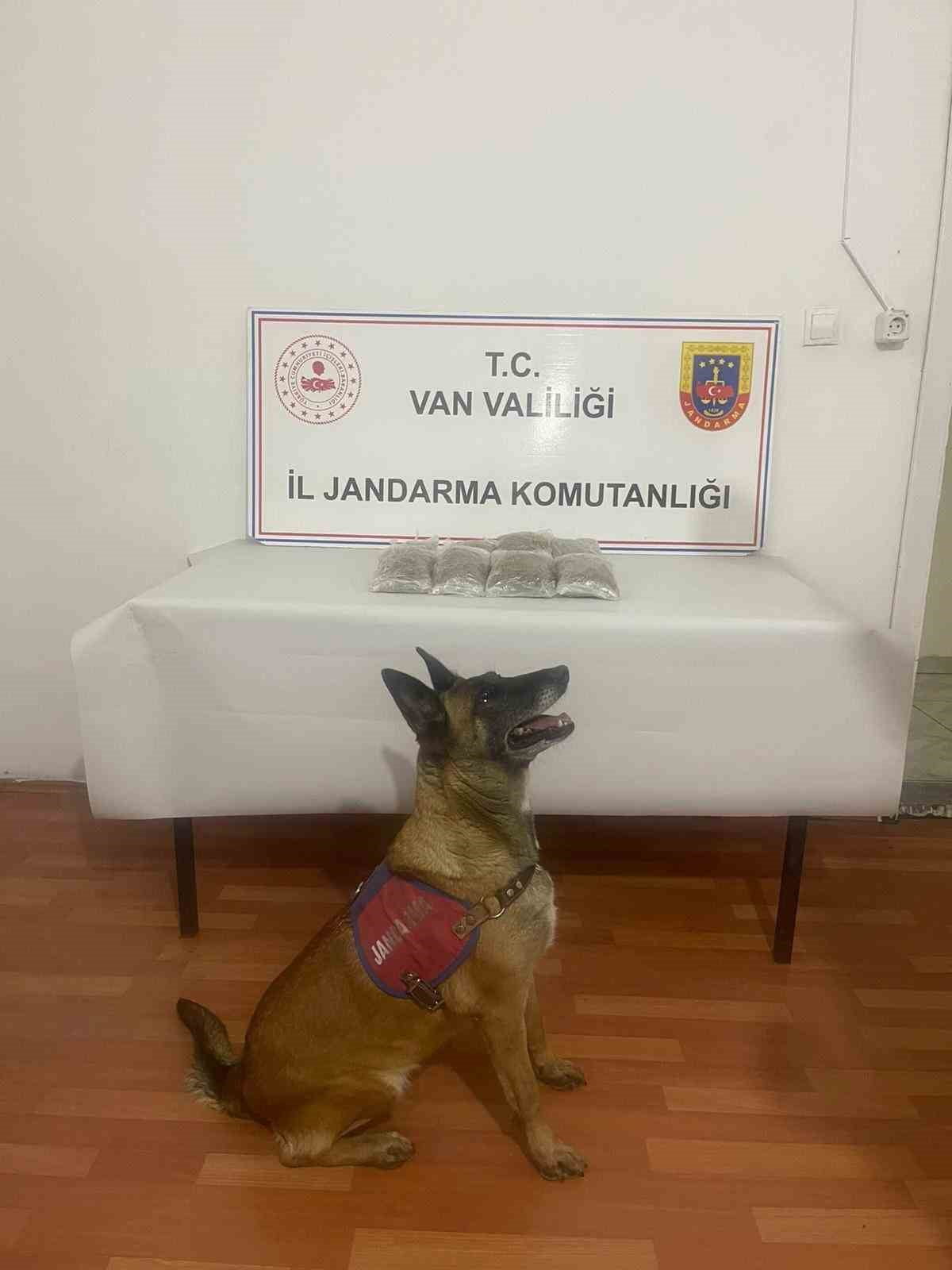 VAN’IN MURADİYE İLÇESİNDE JANDARMA EKİPLERİNCE YÜRÜTÜLEN ÇALIŞMALAR SONUCUNDA UYUŞTURUCU MADDE ELE...